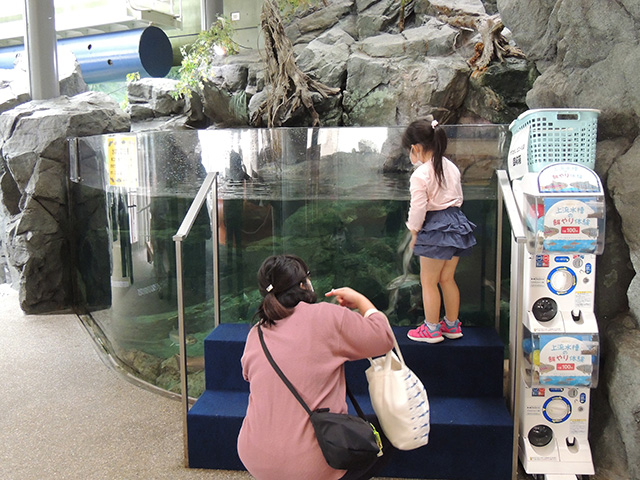 カプセル1個100円の餌やり体験/アクアワールド茨城県大洗水族館(大洗町)