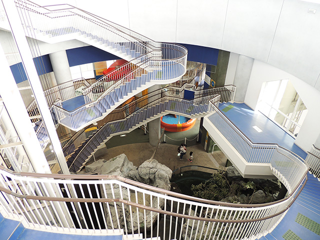 アクアワールド茨城県大洗水族館の館内(大洗町)