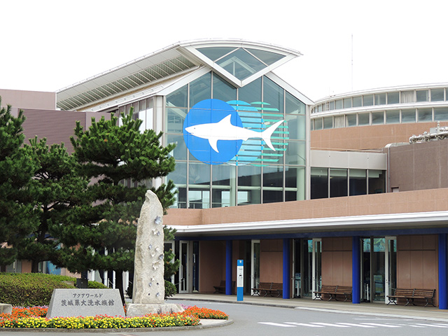 サメをモチーフにしたロゴマーク/アクアワールド茨城県大洗水族館(大洗町)