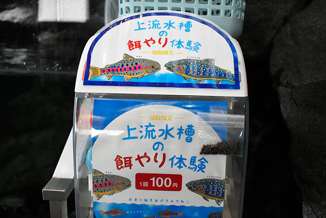 上流水槽の餌やり体験/アクアワールド茨城県大洗水族館(大洗町)