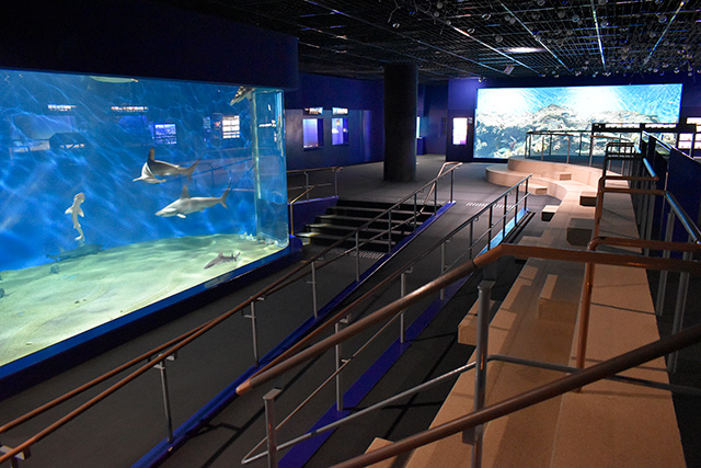 水槽近くのスロープ/アクアワールド茨城県大洗水族館(大洗町)