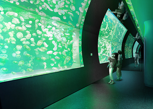 クラゲ大水槽/アクアワールド茨城県大洗水族館(大洗町)