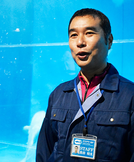 魚類展示課係長の西田さん/アクアワールド茨城県大洗水族館(茨城県/大洗町)
