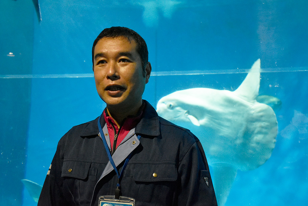 魚類展示課係長の西田さん/アクアワールド茨城県大洗水族館(茨城県/大洗町)