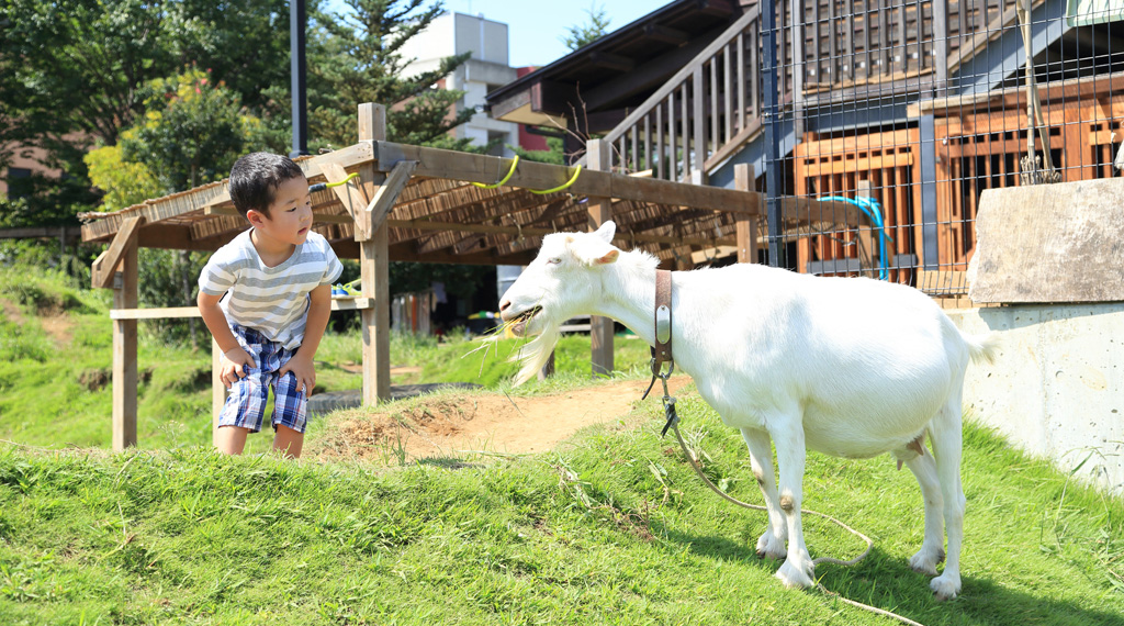 外遊び アウトドアに育脳効果 何歳から 公園 キャンプなど脳科学者のおすすめは るるぶkids