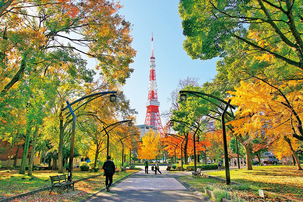 紅葉と東京タワー/都立芝公園(東京都/港区)