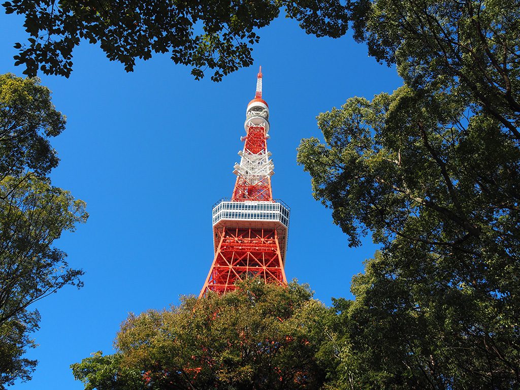 都立芝公園から見える東京タワー(東京都/港区)