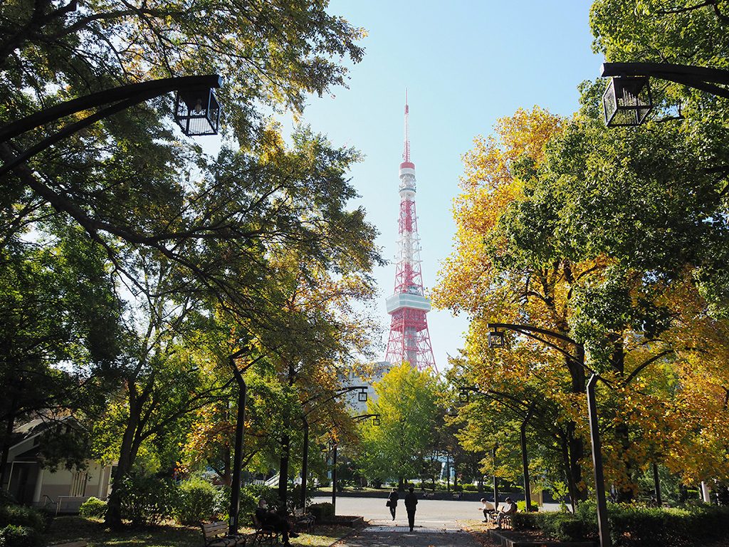 4号地の児童遊園の並木道と東京タワー/都立芝公園(東京都/港区)