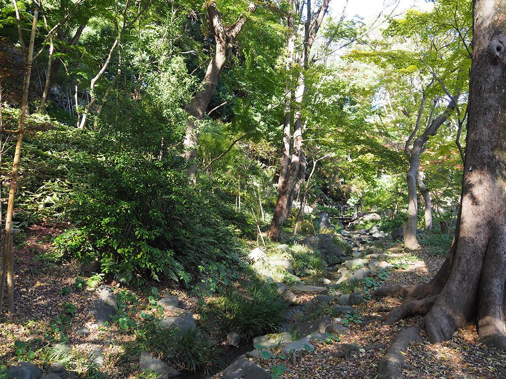 自然豊かなエリア/都立芝公園(東京都/港区)
