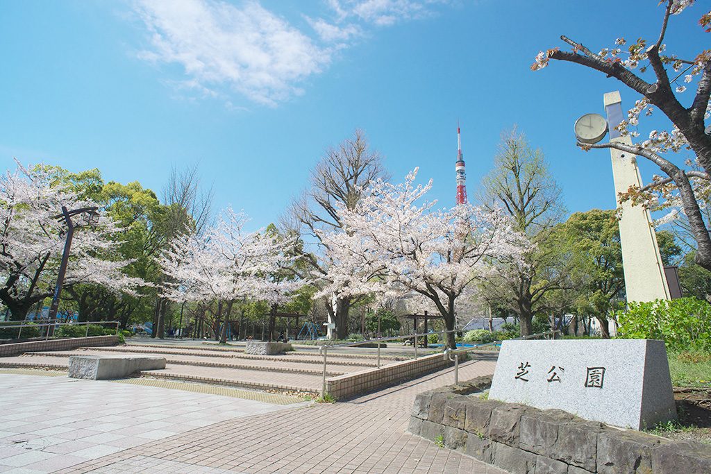 桜と東京タワー/都立芝公園(東京都/港区)