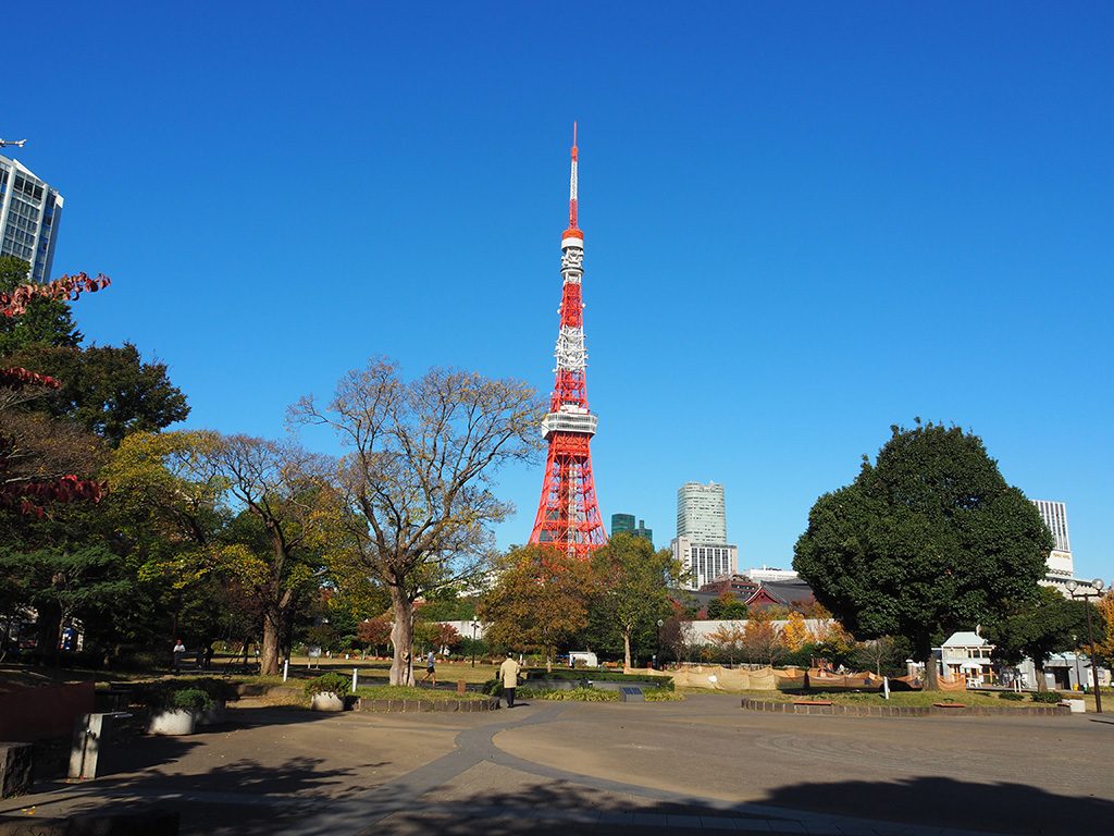 都立芝公園から見える東京タワー(東京都/港区)