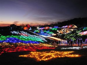 子連れの旅行 おでかけ応援サイト るるぶkids