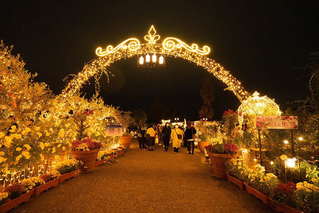 イルミイベント 光の遊園地/ひらかたパーク(大阪府/枚方市)