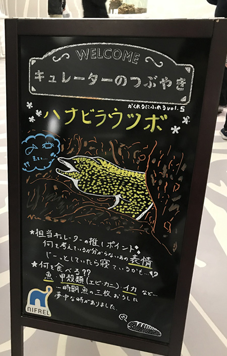 見どころやメッセージが描かれたボード/NIFREL(ニフレル)(大阪府/吹田市)