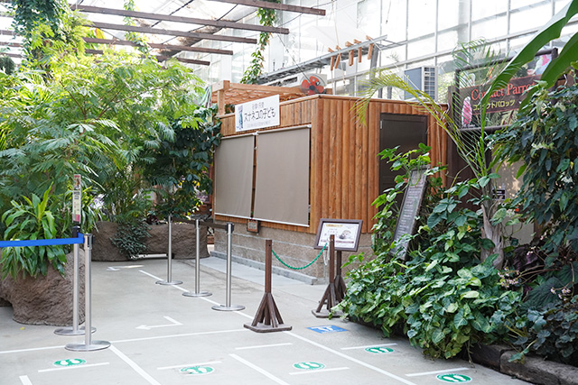 スナネコの展示場/神戸どうぶつ王国(兵庫県/神戸市)