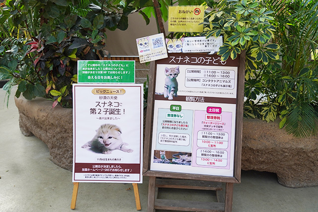 スナネコの展示場案内板/神戸どうぶつ王国(兵庫県/神戸市)