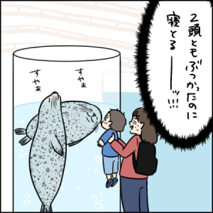 ぶつかろうがお構いなし!睡眠第一のアザラシたち|2歳とお出かけ in 京都水族館③