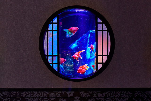 アートアクアリウム美術館(東京都/中央区)