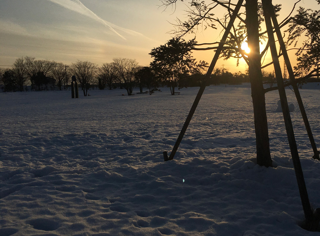 雪景色の公園
