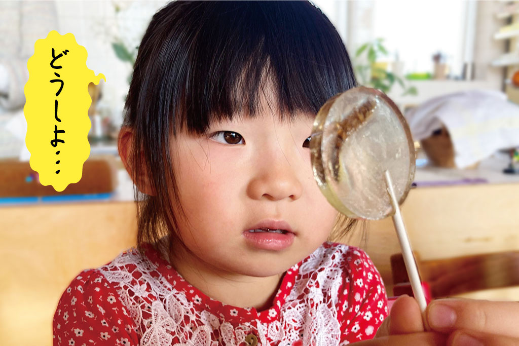 虫キャンディ(スーパーワーム)を眺める妹