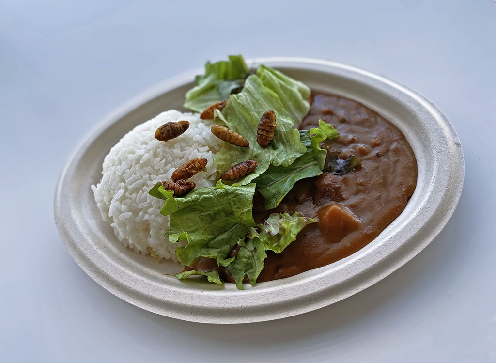 「Miraikan Kitchen」で食べられるシルクワームカレー/日本科学未来館