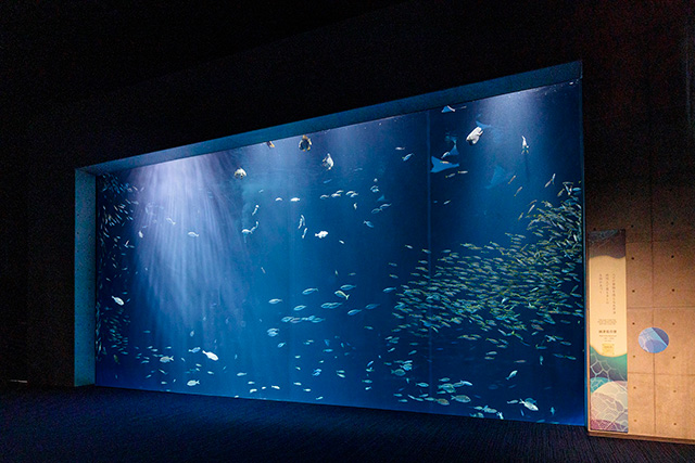 太平洋をイメージした「綿津見の景」/四国水族館(香川県/宇多津町)