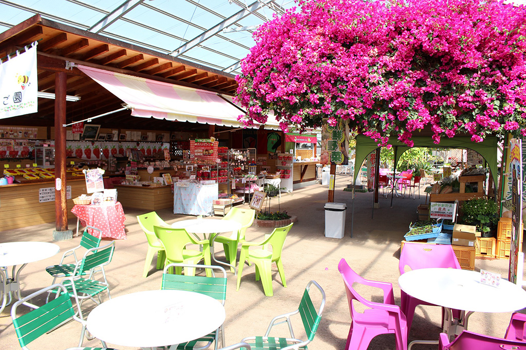 園内の休憩スペース/磯山観光いちご園(千葉県/東庄町)