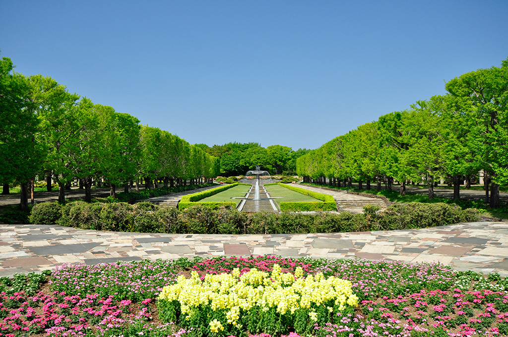 国営昭和記念公園(東京都/立川市)