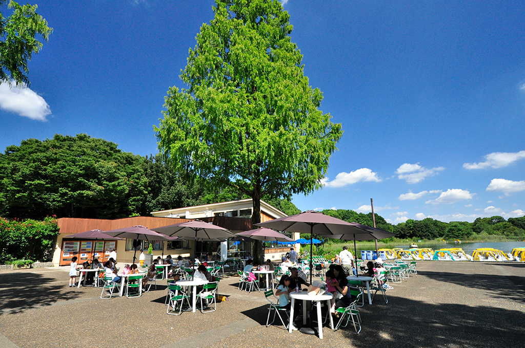 国営昭和記念公園(東京都/立川市)