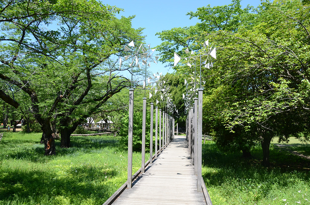 こどもの森/国営昭和記念公園(東京都/立川市)