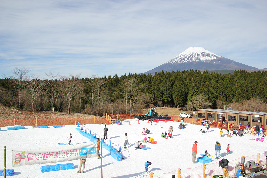 富士山こどもの国/雪の丘(静岡県/富士市)