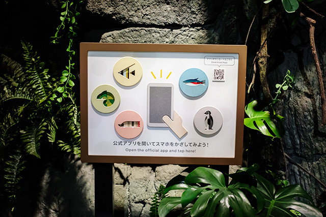 館内のタッチポイント/DMMかりゆし水族館(沖縄県/豊見城市)