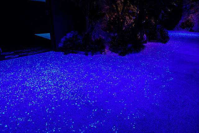 夜光虫をイメージした床/DMMかりゆし水族館(沖縄県/豊見城市)