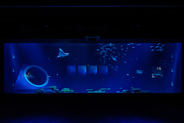 うちなー大水槽/DMMかりゆし水族館(沖縄県/豊見城市)