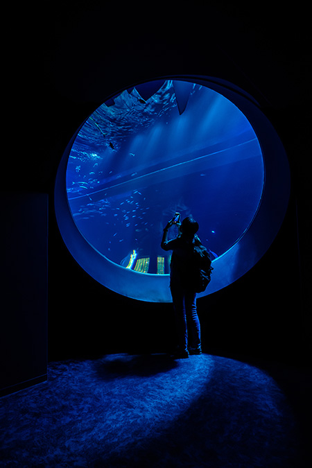 大水槽の大きな丸窓/DMMかりゆし水族館(沖縄県/豊見城市)