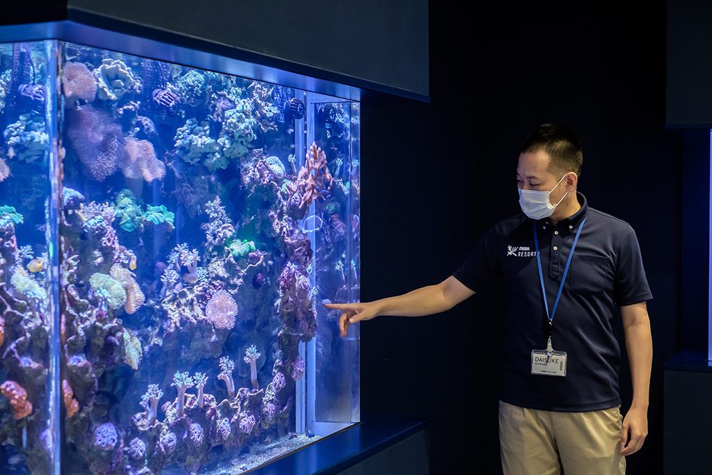 館長の市川大介さん/DMMかりゆし水族館(沖縄県/豊見城市)