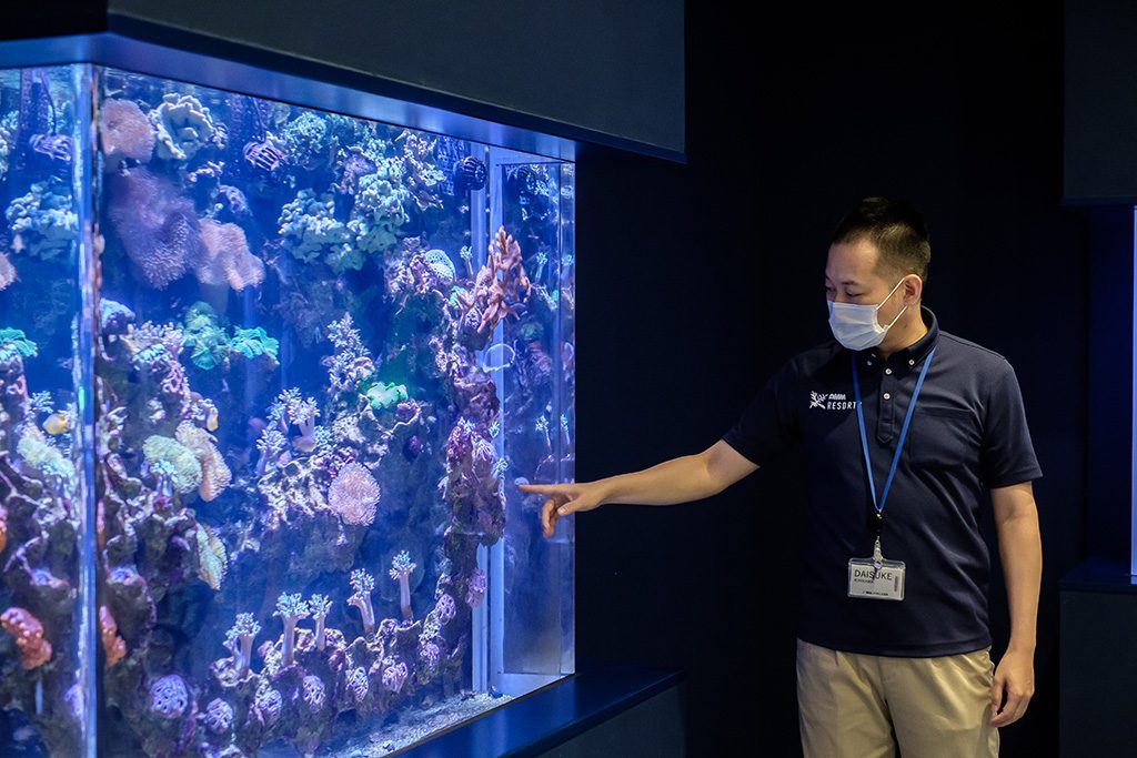 館長さんに聞くdmmかりゆし水族館の楽しみ方 人気の生き物 グッズ 体験など るるぶkids