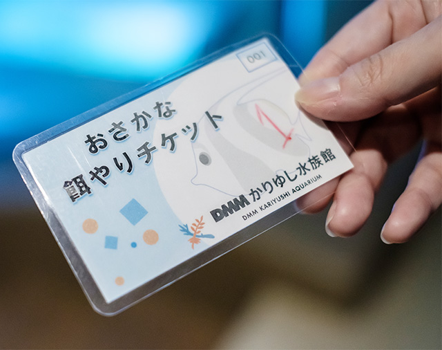 お魚餌やり体験のチケット/DMMかりゆし水族館(沖縄県/豊見城市)