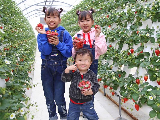 マザー牧場(千葉県/富津市)