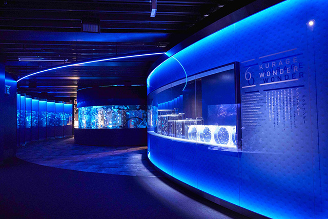 京都クラゲ研究部/京都水族館 クラゲワンダー(京都府/京都市)