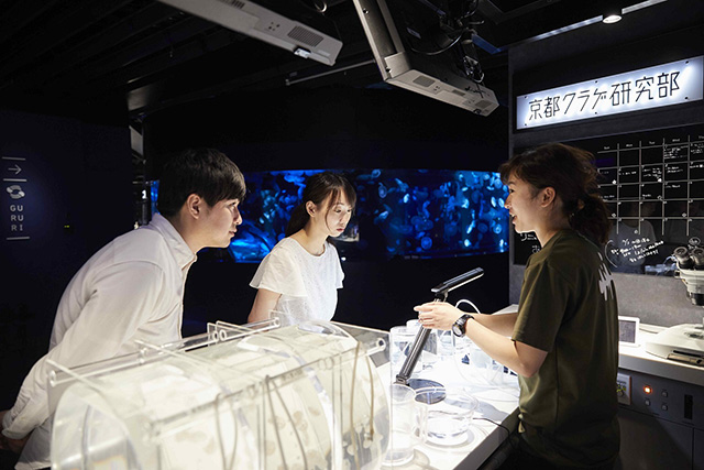 京都水族館 クラゲワンダー(京都府/京都市)