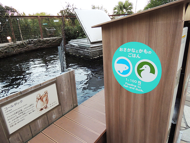 池の鯉や鴨にあげるごはん売場/横浜・八景島シーパラダイス(神奈川県/横浜市)
