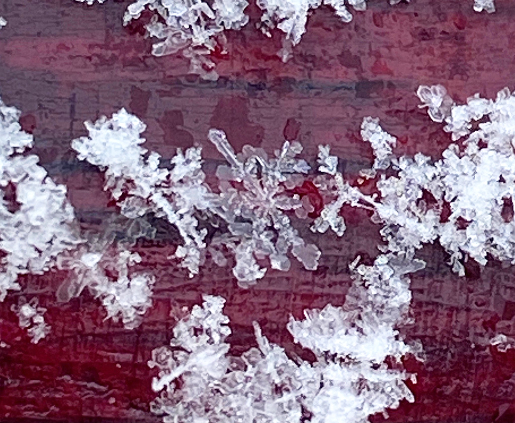 スマホで撮影した雪の結晶