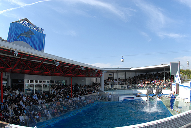 「イルカ・アシカスタジアム」/しながわ水族館(東京都/品川区)