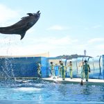 【チケット割引情報あり】新江ノ島水族館の“春のイベント”にでかけよう！【えのすい】