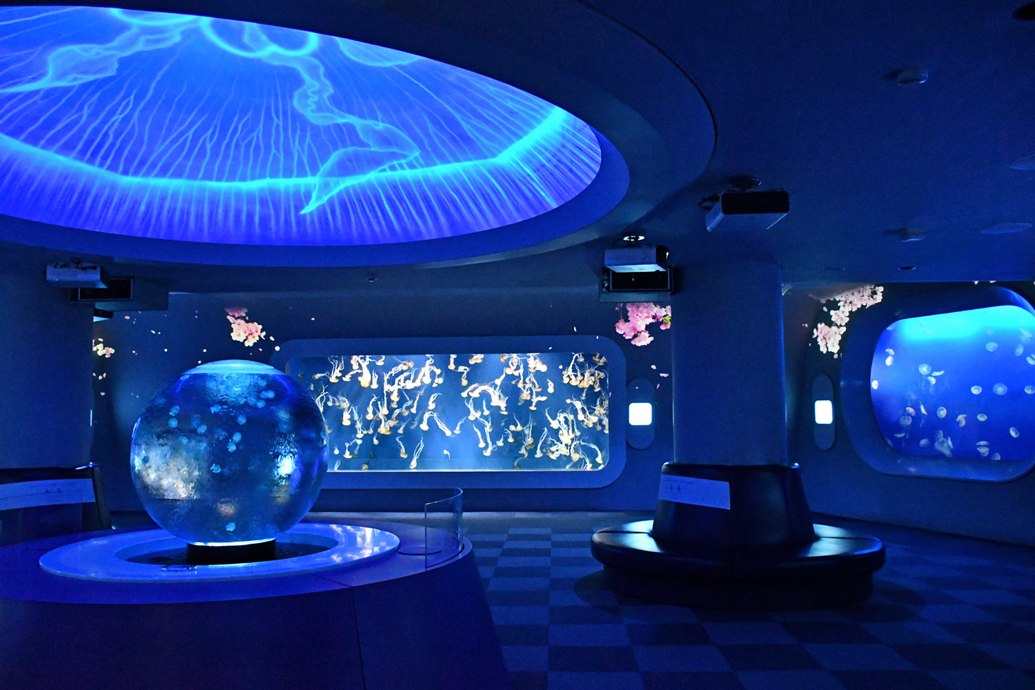 クラゲファンタジーホール 展示演出 ~春~/新江ノ島水族館(神奈川県/藤沢市)