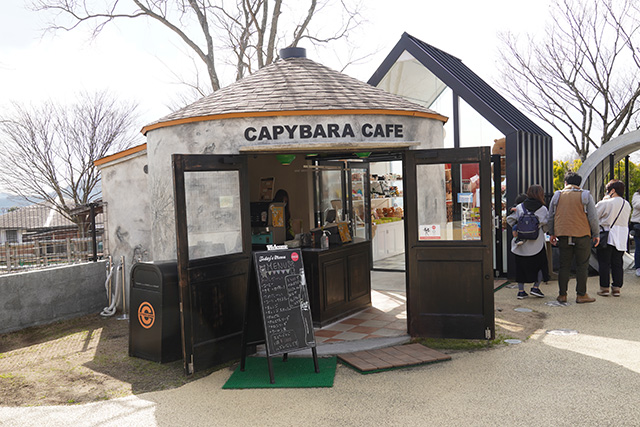 CAPYBARA CAFE/姫路セントラルパーク(兵庫県/姫路市)