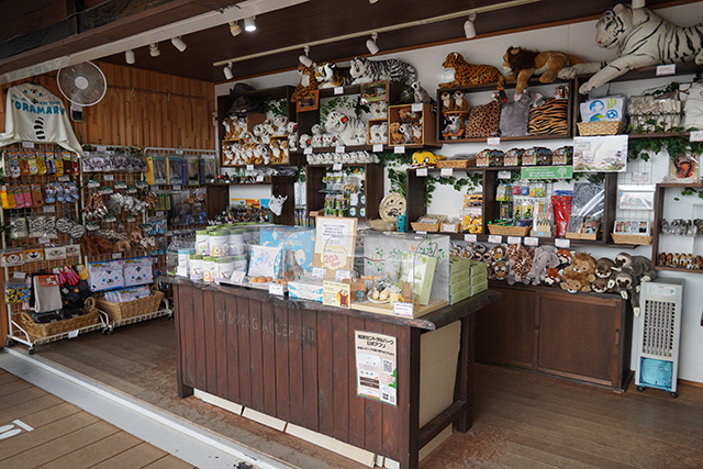 コンタットの店内/姫路セントラルパーク(兵庫県/姫路市)