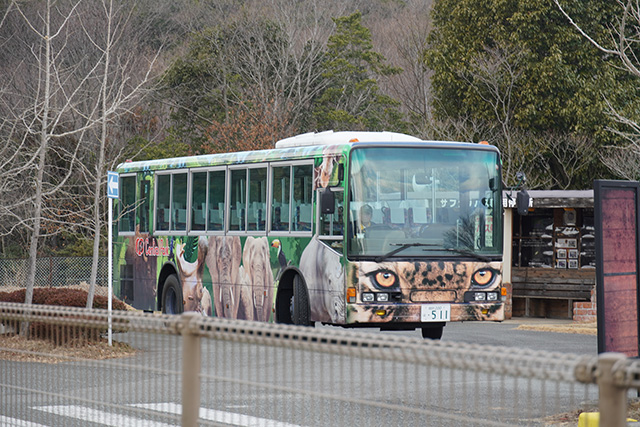 園内を回るサファリバス/姫路セントラルパーク(兵庫県/姫路市)