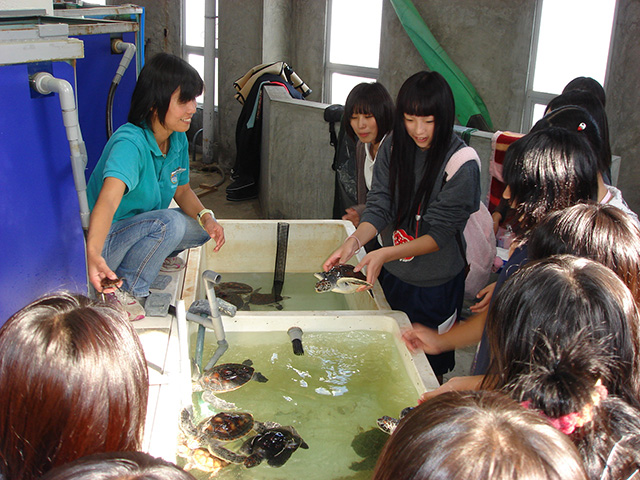 「水族館飼育体験」の様子/串本海中公園(和歌山県/串本町)